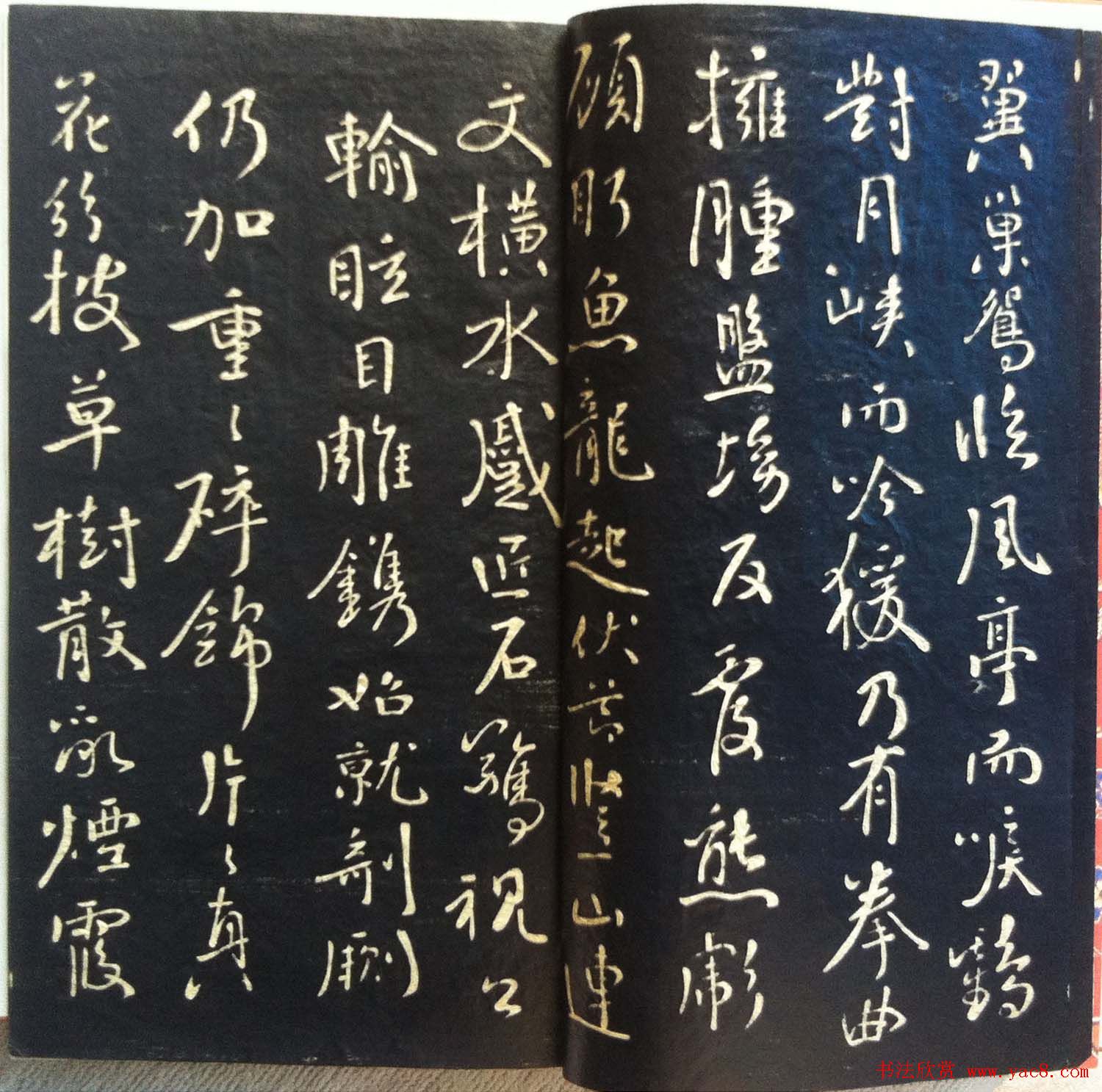 兰新家传书法碑帖分享《钱南园枯树赋》