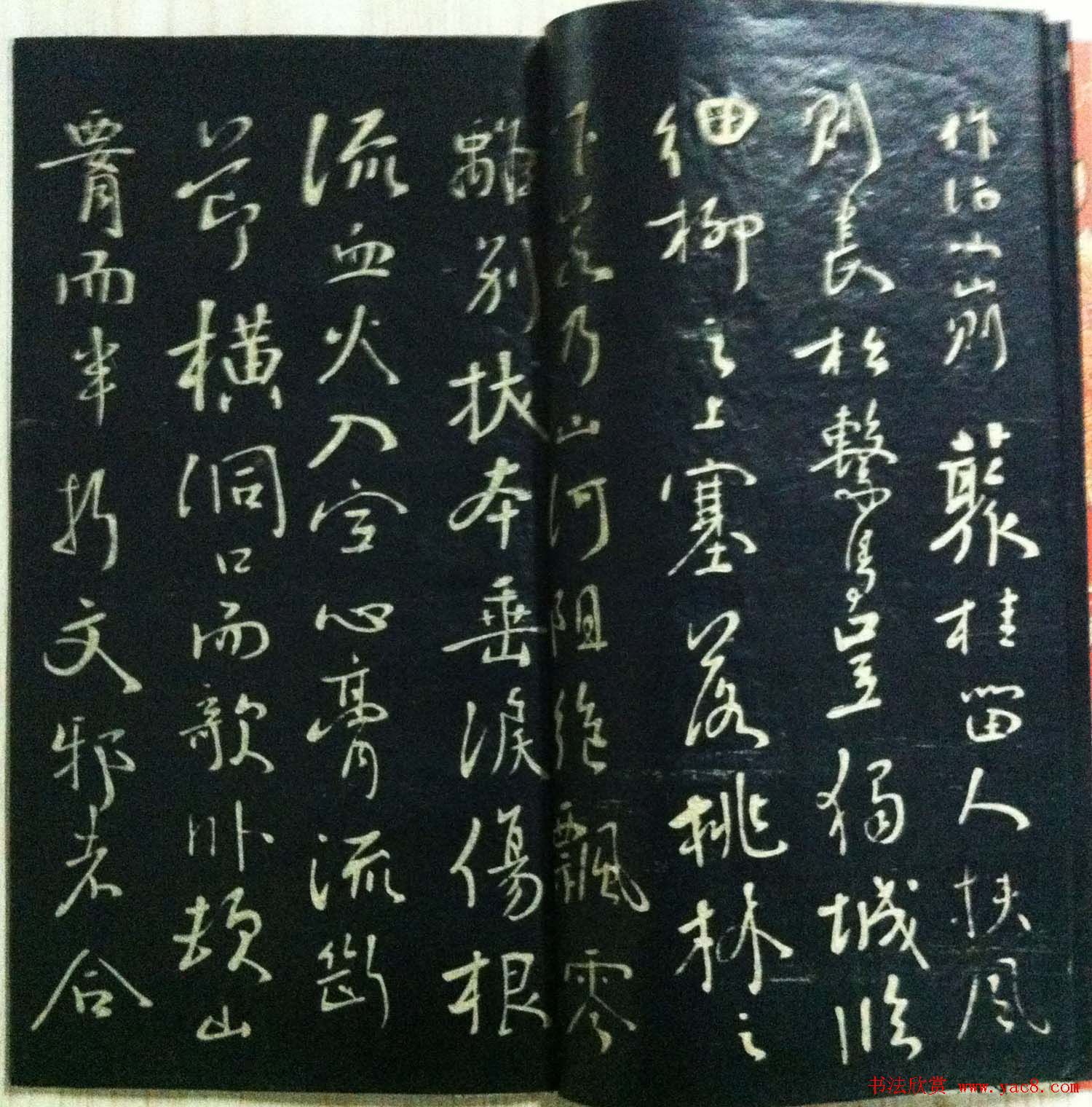 分享家传书法碑帖拓本六册照片56张