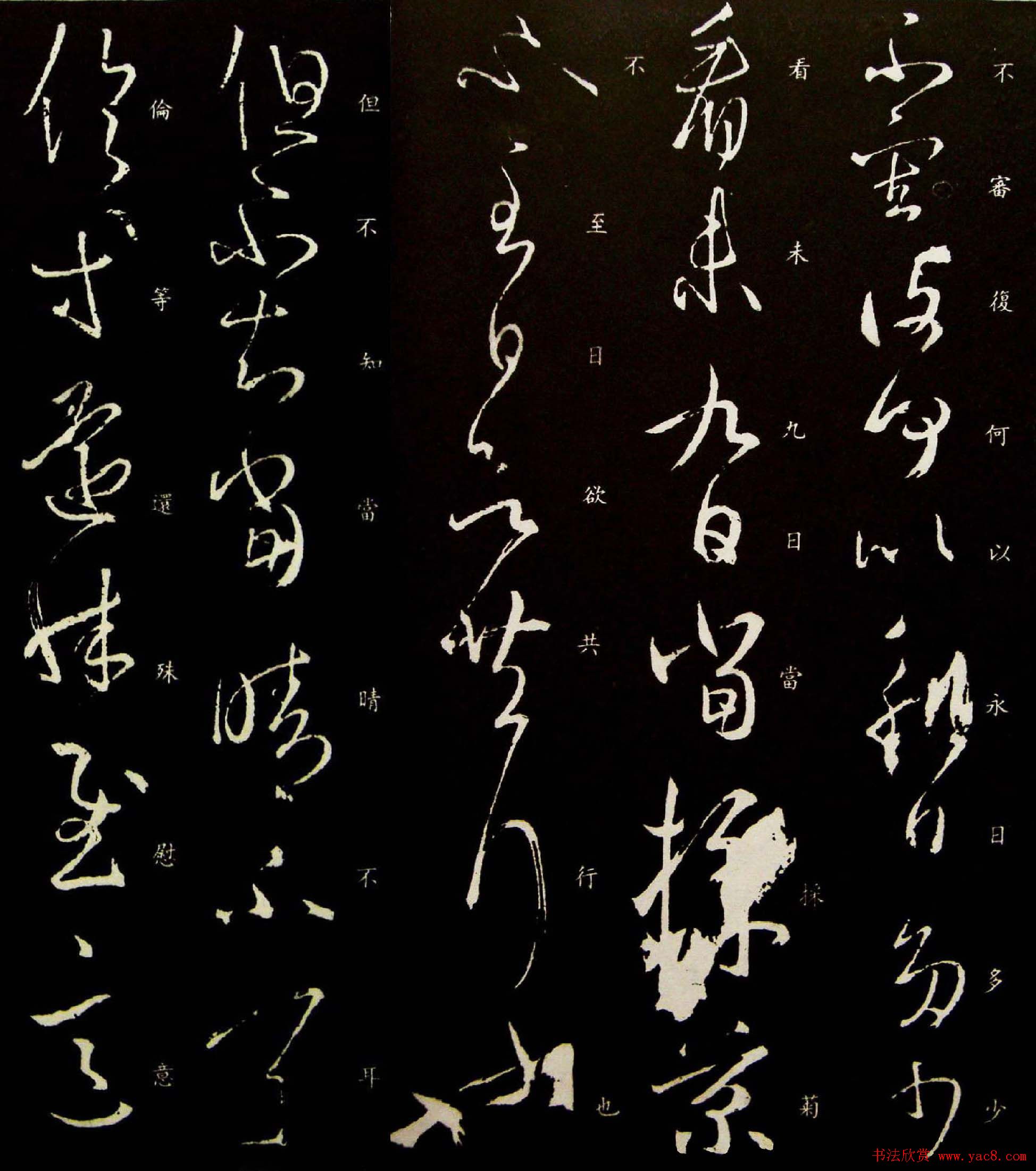 王羲之草书作品欣赏《采菊帖》四种