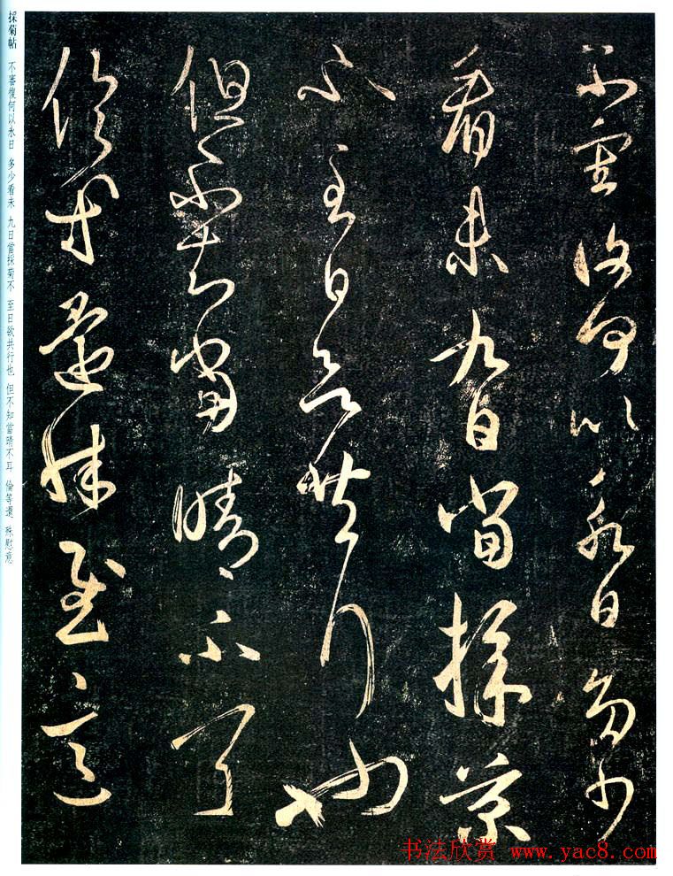 王羲之草书作品欣赏《采菊帖》四种