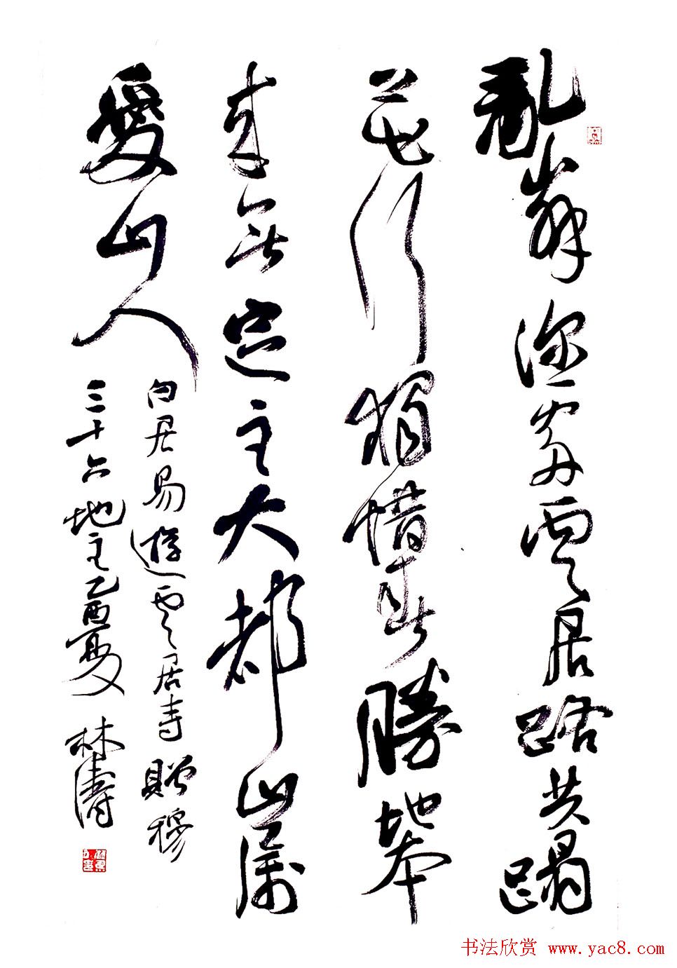 甘肃书协秘书长林涛行草书欣赏