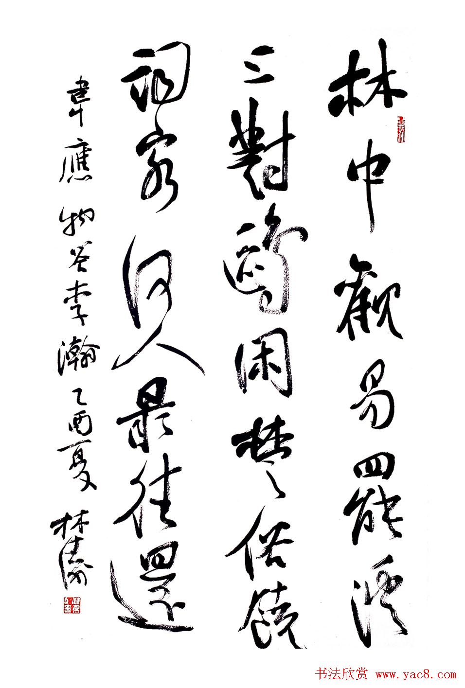 甘肃书协秘书长林涛行草书欣赏