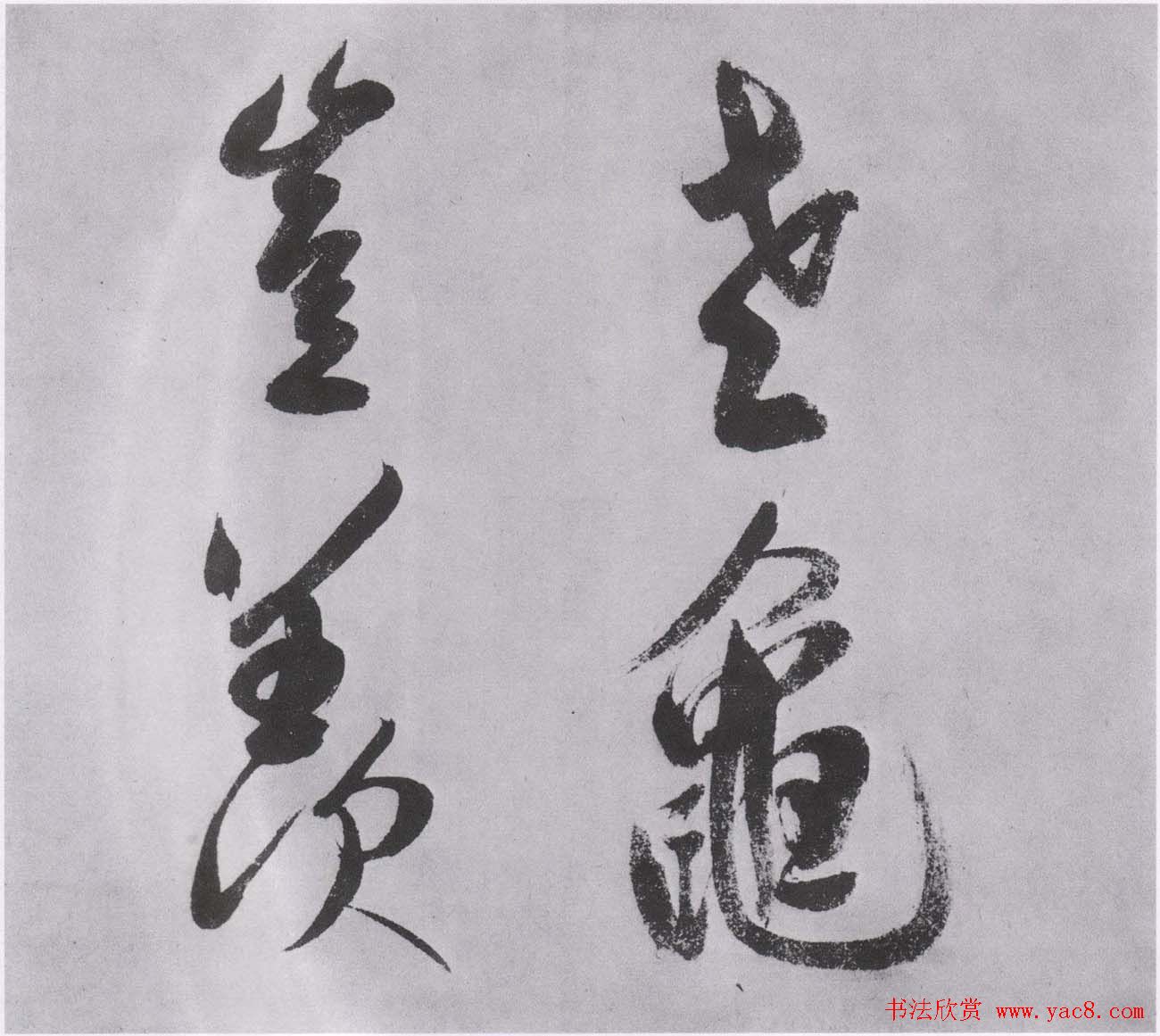 宋高宗赵构行书手卷欣赏《白居易诗》