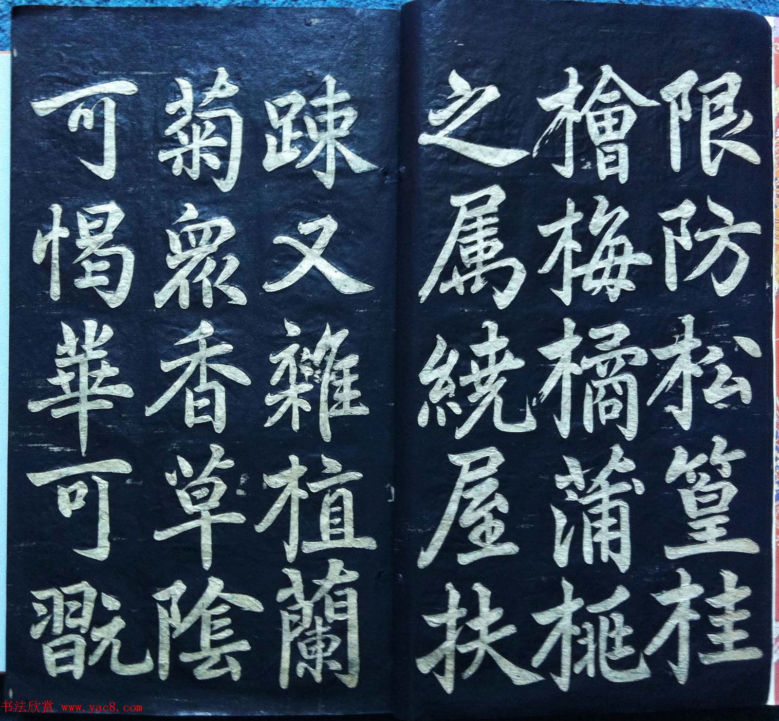 兰新家传碑帖欣赏《赵文敏寿春堂》