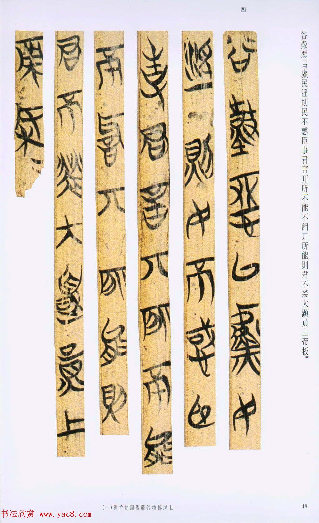 战国楚竹简书法欣赏《缁衣篇》