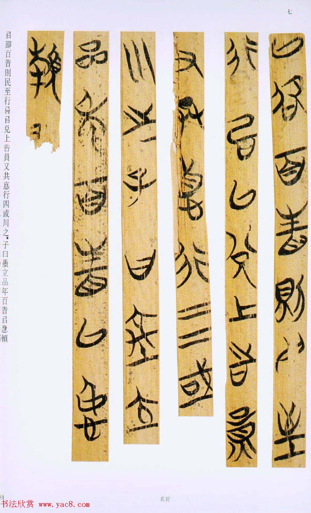 战国楚竹简书法欣赏《缁衣篇》