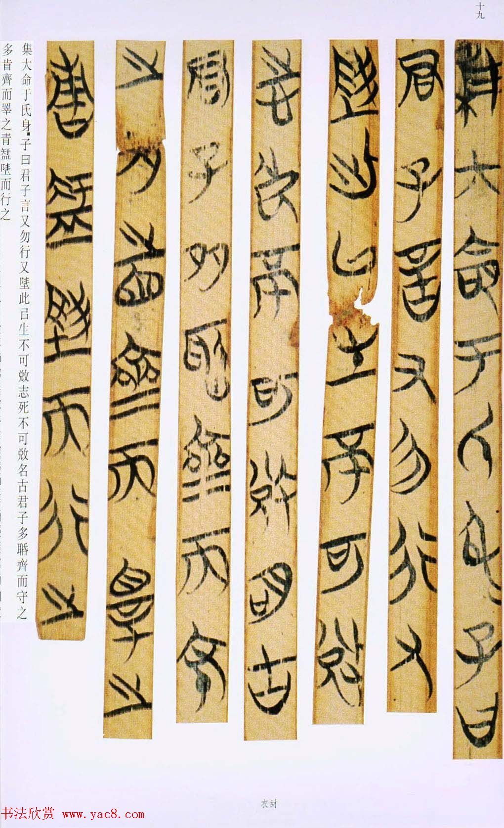 战国楚竹简书法欣赏《缁衣篇》