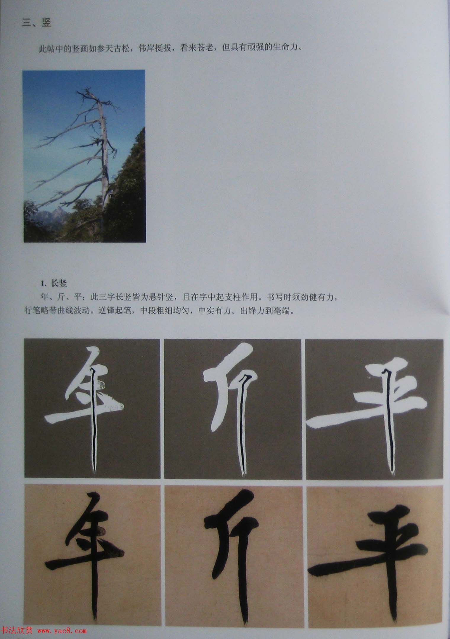 黄庭坚行书技法字帖《松风阁诗帖笔法》