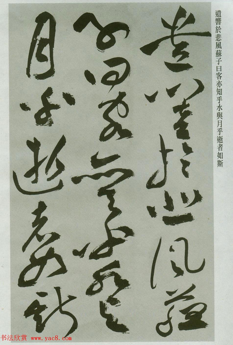 祝允明草书字帖欣赏《前赤壁赋》