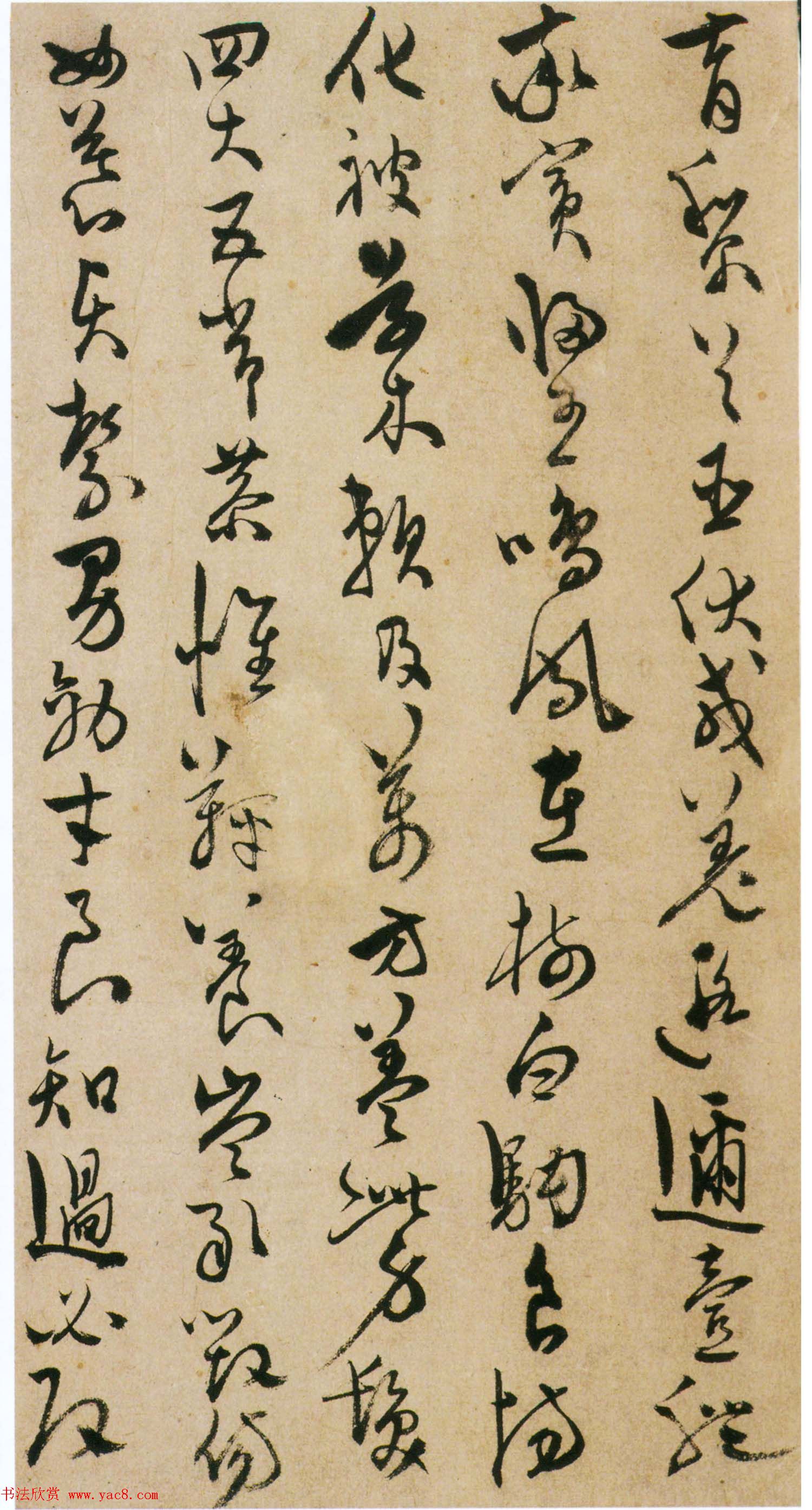 陈道复书法欣赏《陈淳草书千字文册》