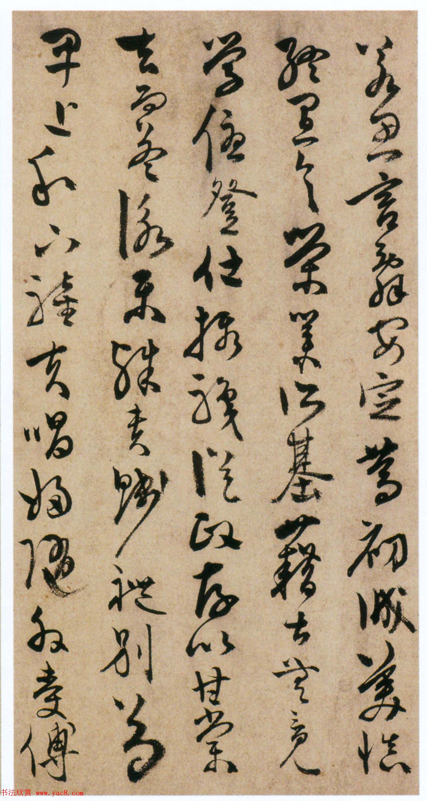 陈道复书法欣赏《陈淳草书千字文册》