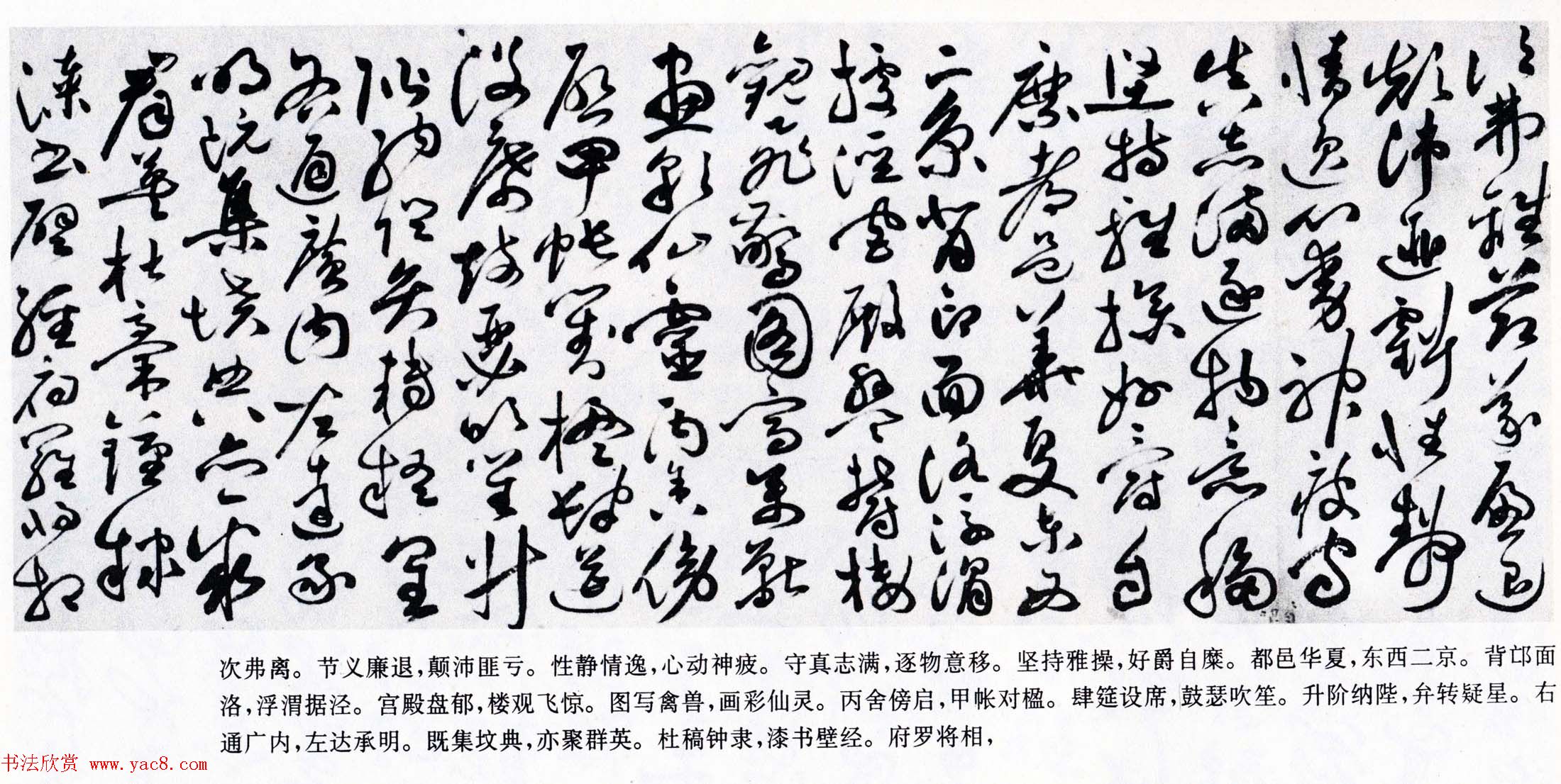 明代草书第一人祝允明《草书千字文卷》两种