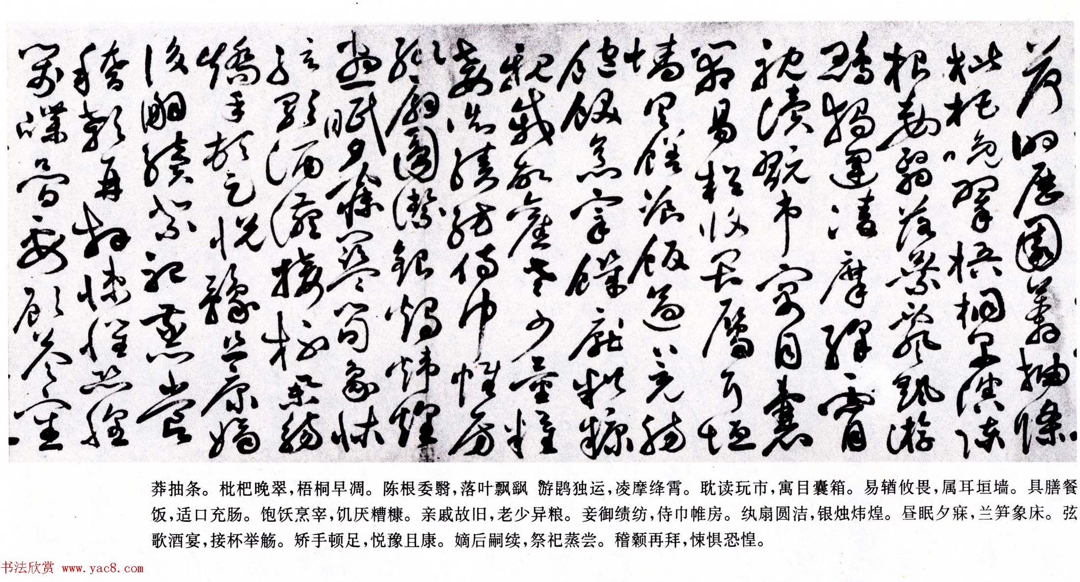 明代草书第一人祝允明《草书千字文卷》两种