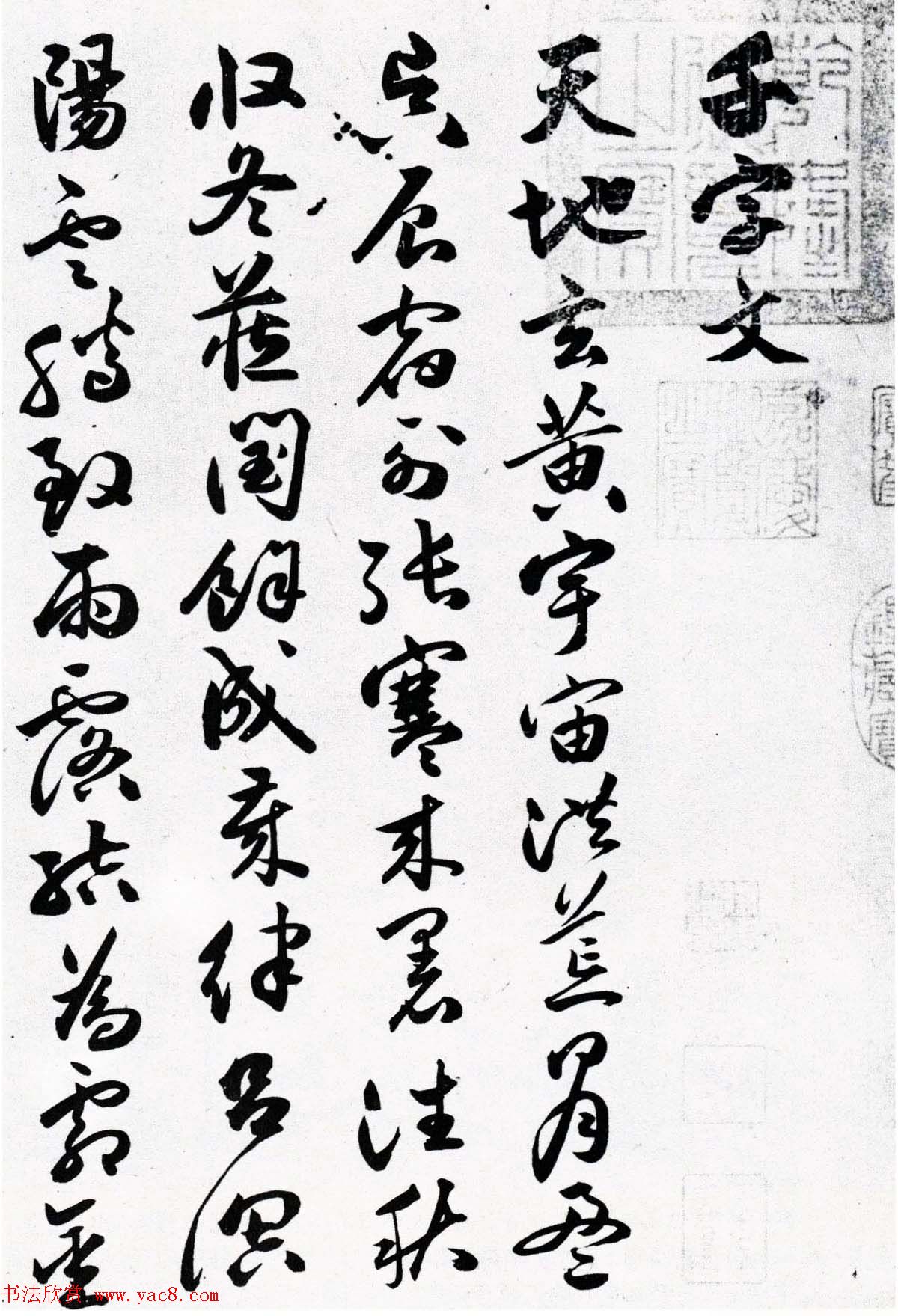 明代草书第一人祝允明《草书千字文卷》两种