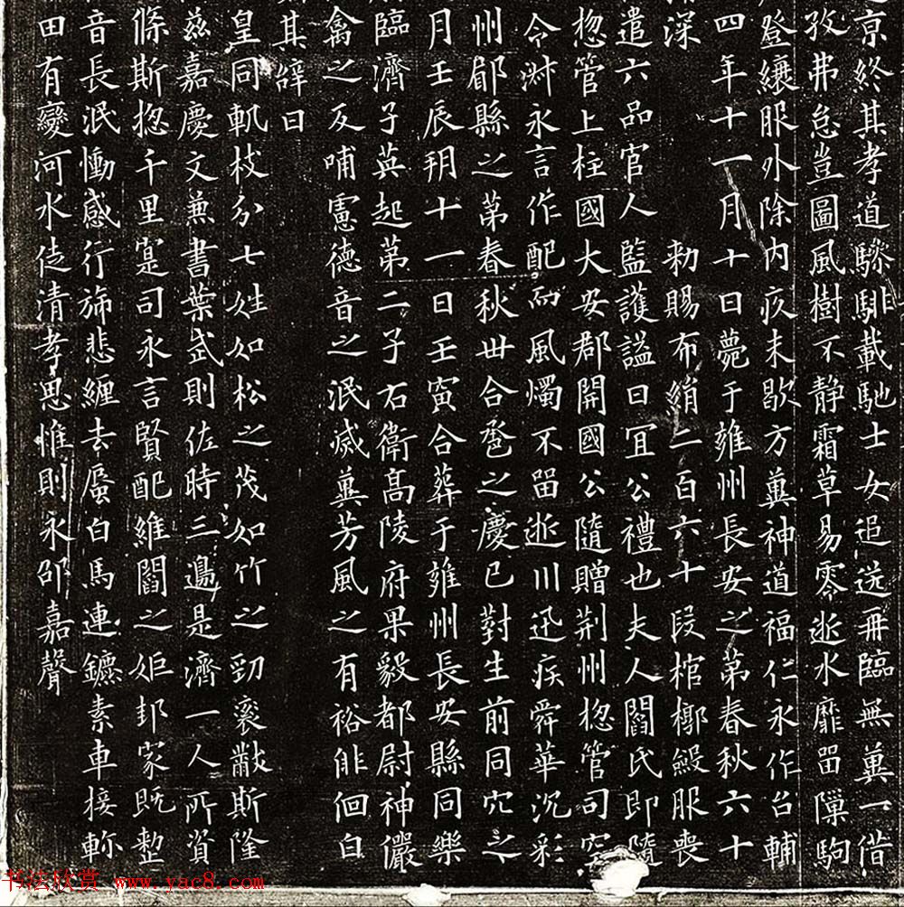 唐代欧阳询楷书欣赏《丘师墓志》高清拓本