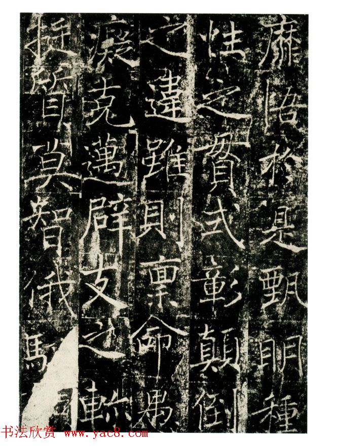 瘦金书之祖薛稷楷书欣赏《信行禅师碑》