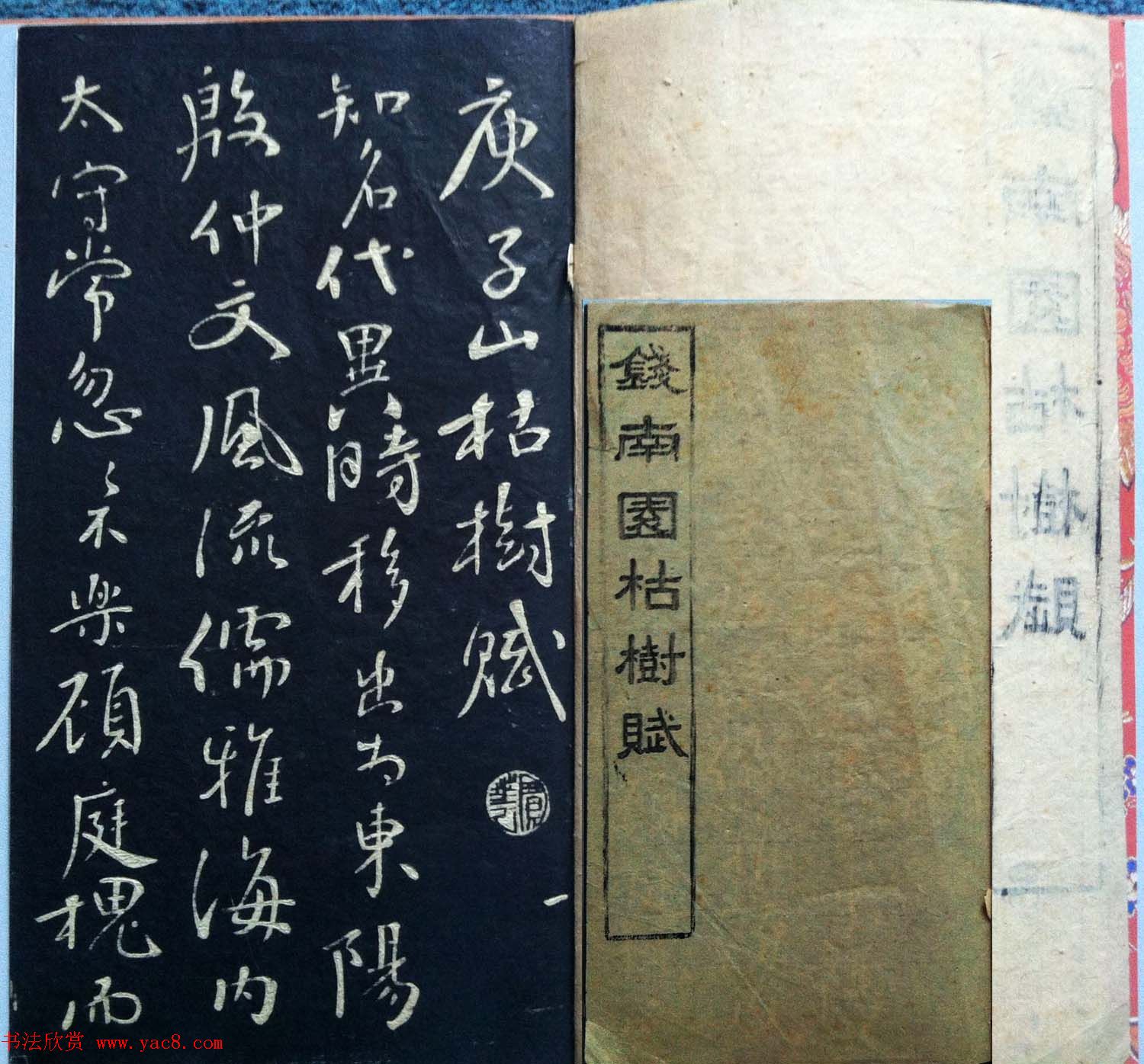 兰新家传书法碑帖分享《钱南园枯树赋》