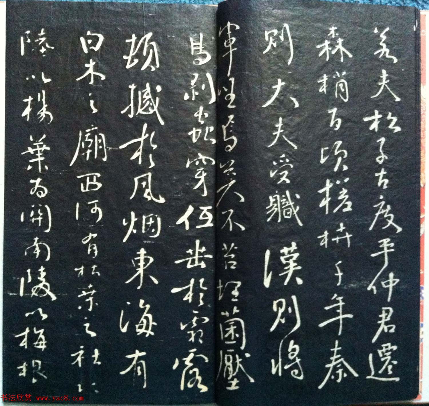 兰新家传书法碑帖分享《钱南园枯树赋》