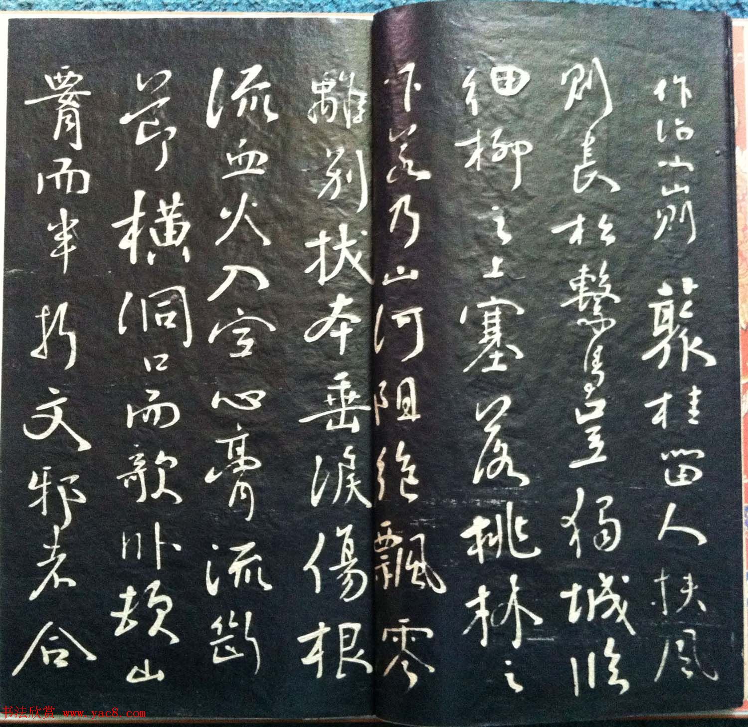 兰新家传书法碑帖分享《钱南园枯树赋》