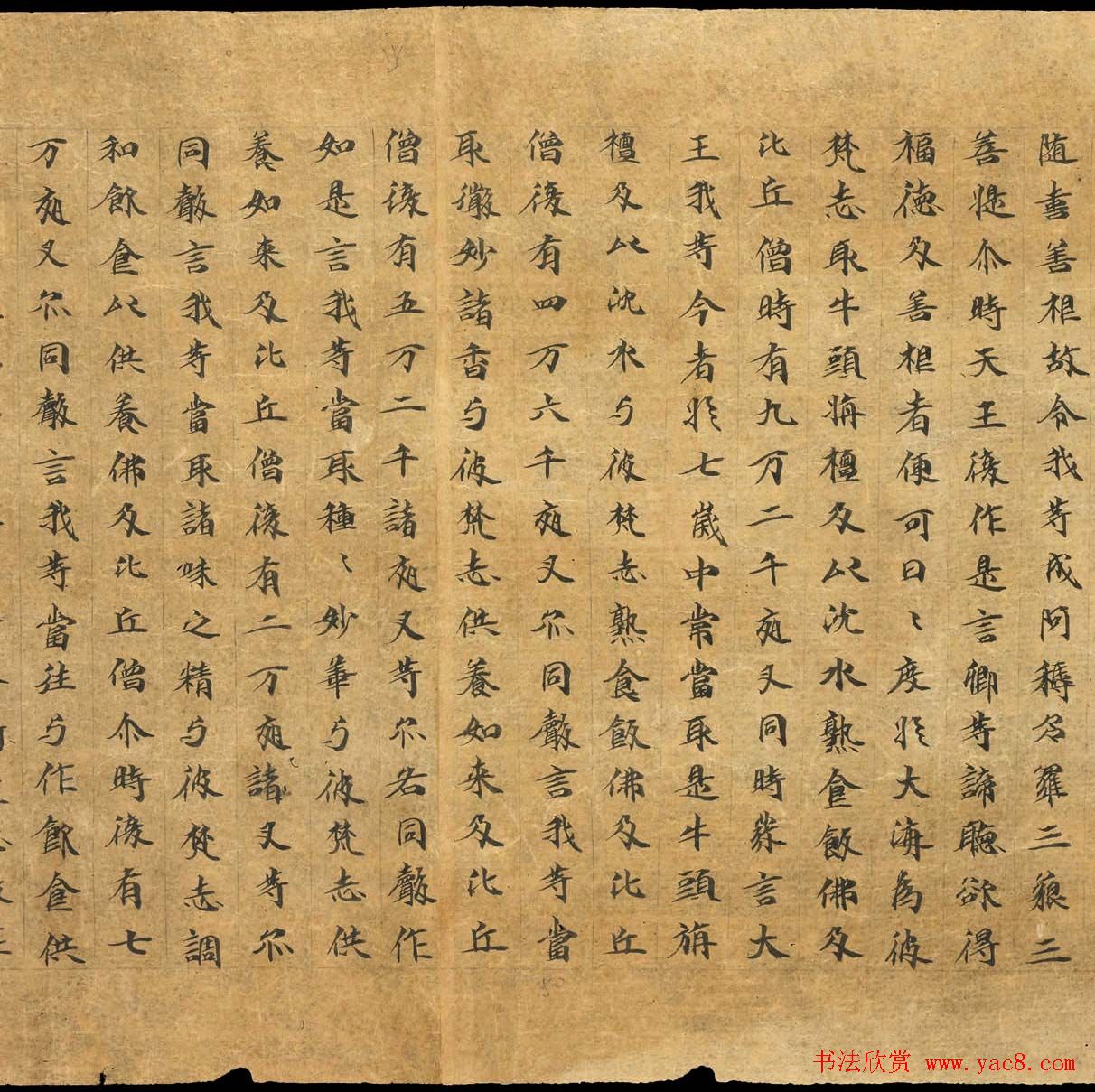 敦煌遗书墨迹欣赏《悲华经卷第二》