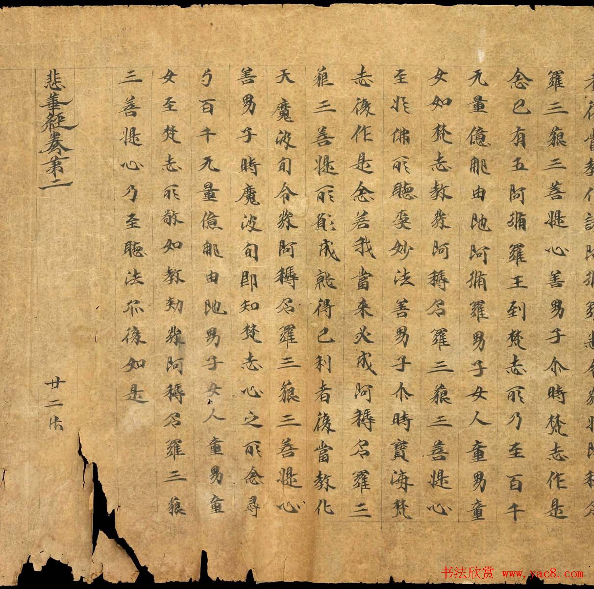 敦煌遗书墨迹欣赏《悲华经卷第二》