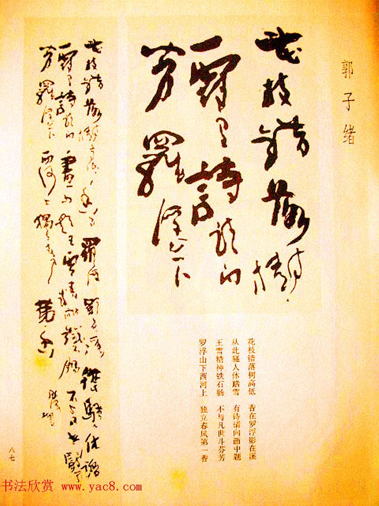 名家书法作品集《中国当代书法大观》