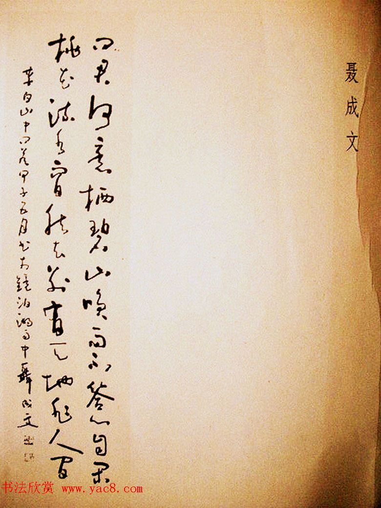 名家书法作品集《中国当代书法大观》