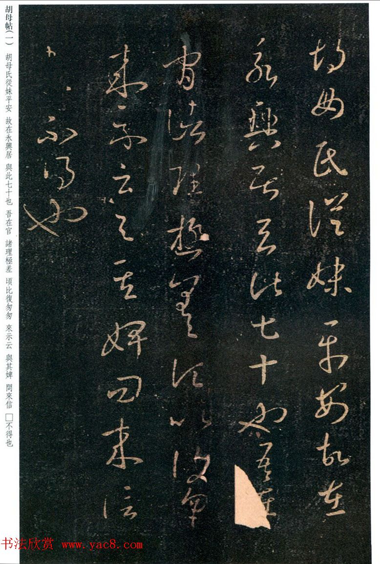 王羲之草书欣赏《胡母帖》三种