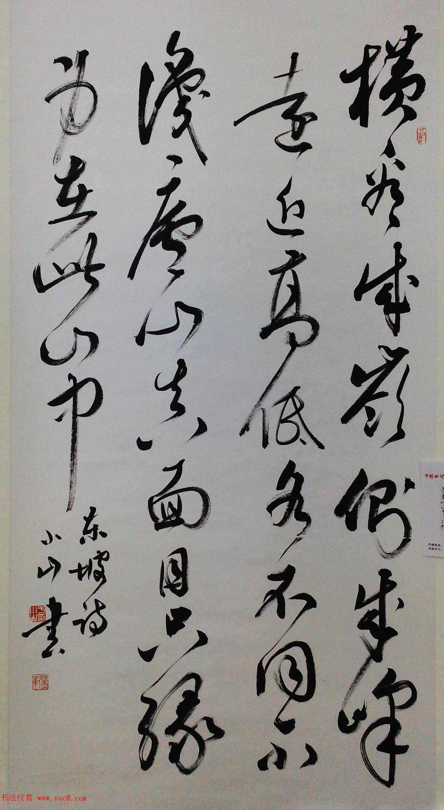 第四届中国西部书法篆刻作品展评委、优秀奖作品