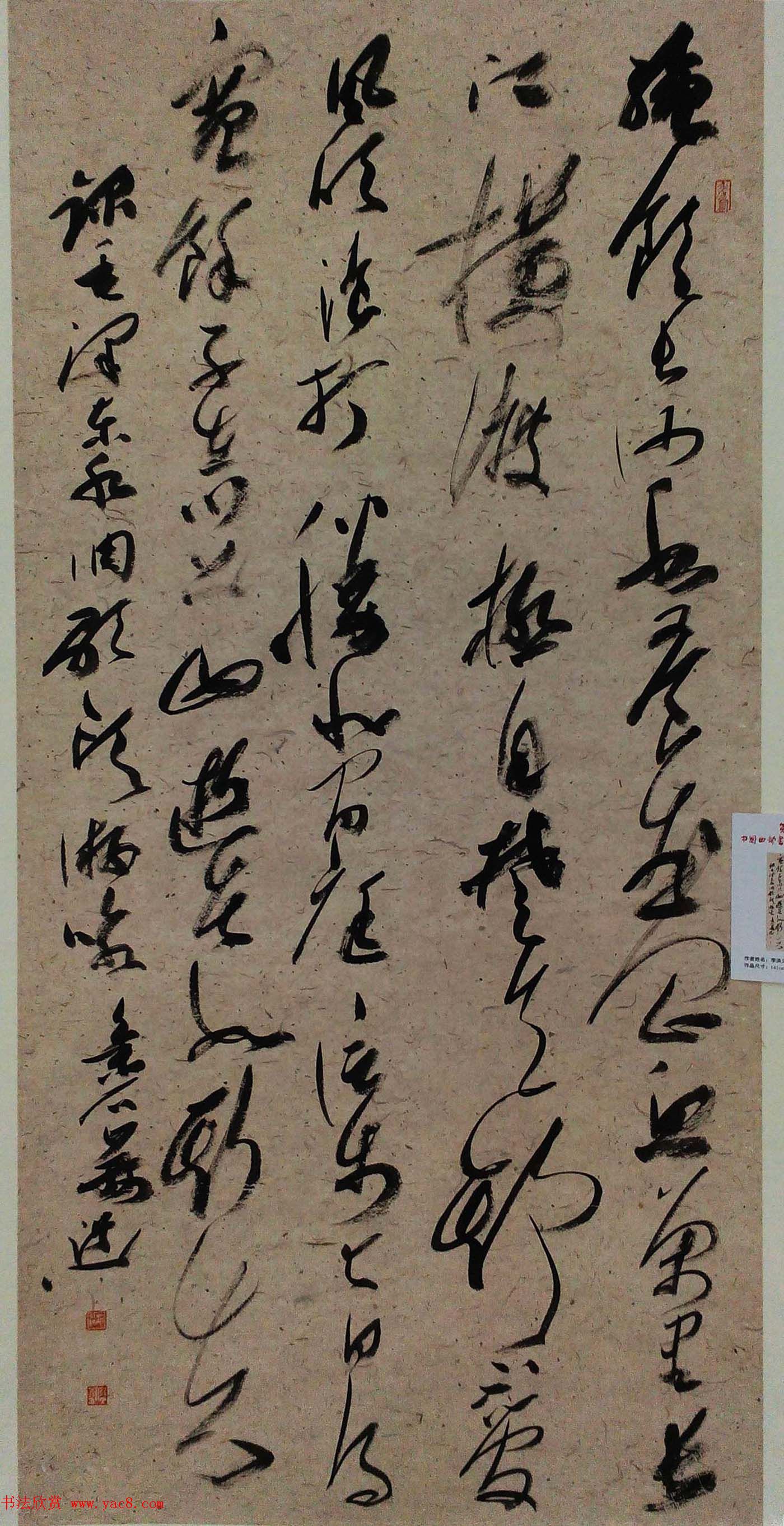 第四届中国西部书法篆刻作品展评委、优秀奖作品