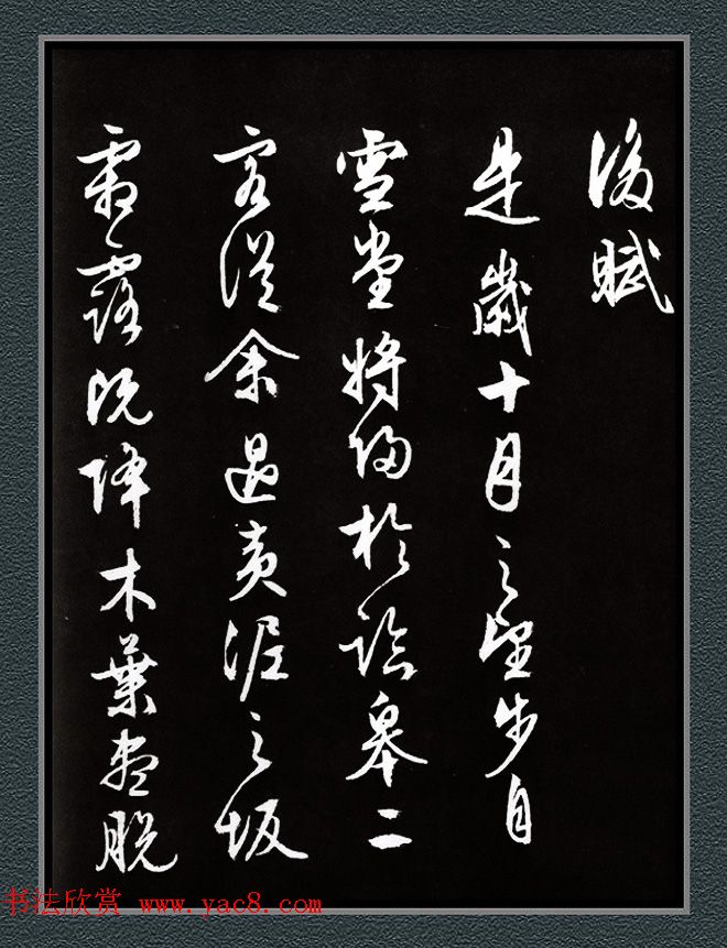 文徵明87岁行草书法《赤壁赋》两种