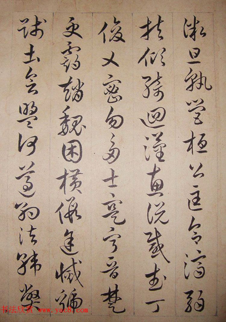 清代理学家陆陇其草书《千字文》