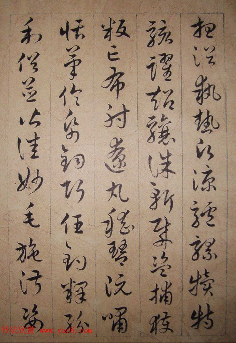 清代理学家陆陇其草书《千字文》