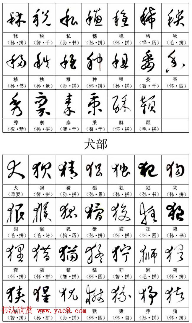 书法教材《名帖名家草书字帖范字》