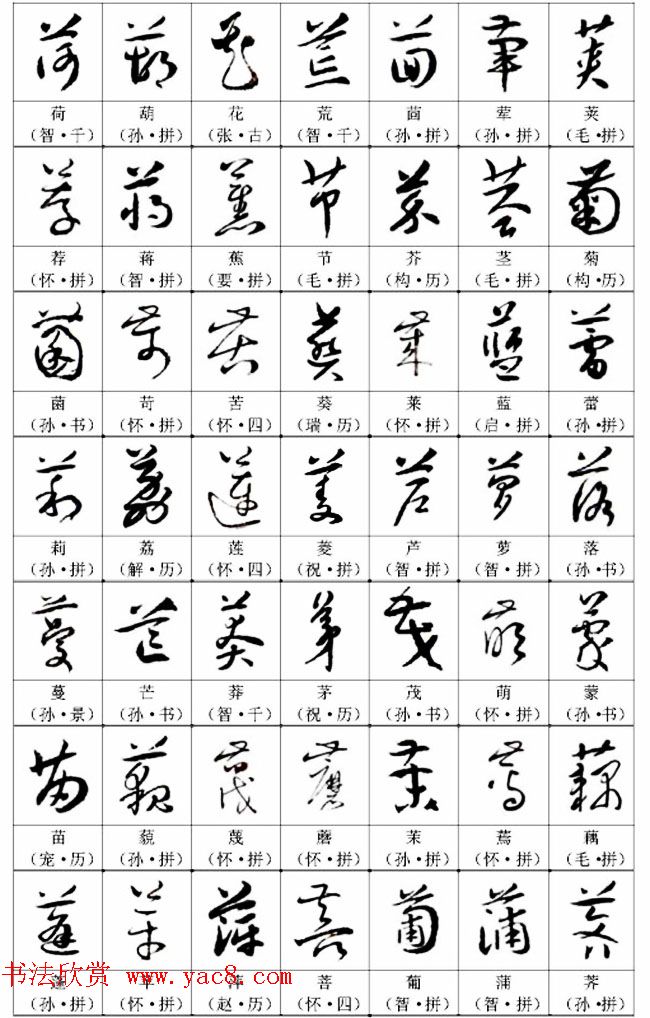 书法教材《名帖名家草书字帖范字》