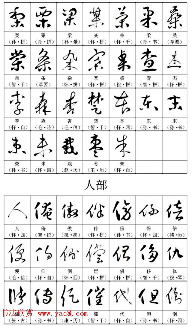 书法教材《名帖名家草书字帖范字》