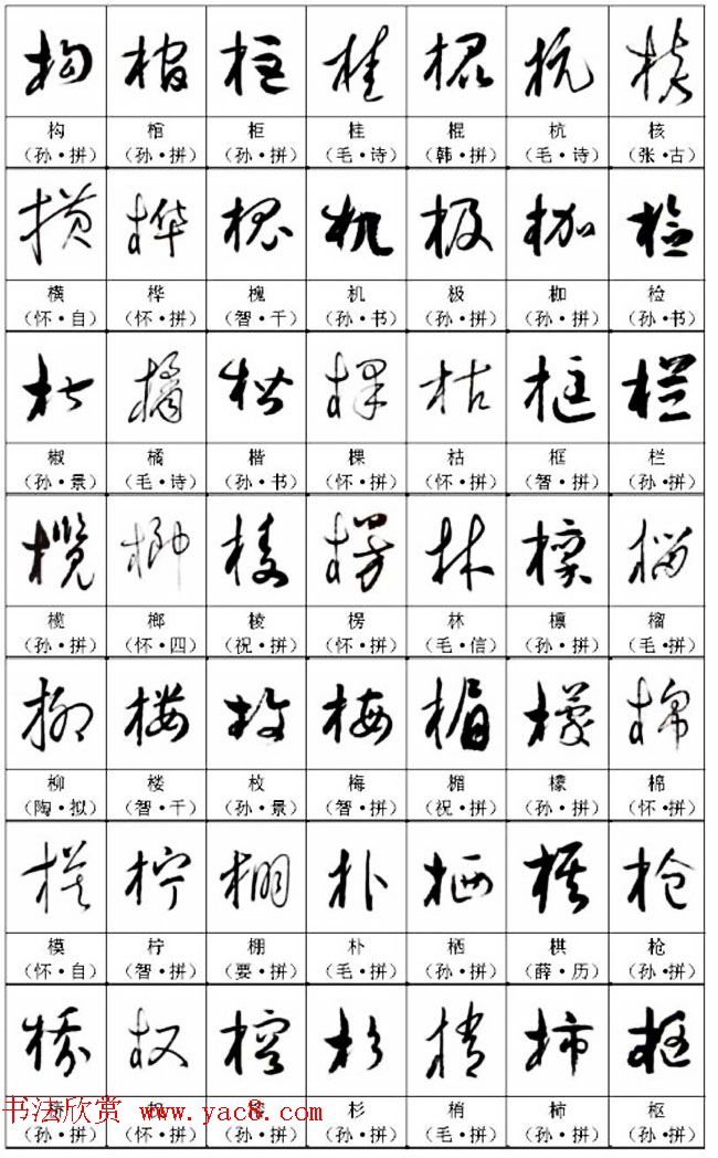 书法教材《名帖名家草书字帖范字》