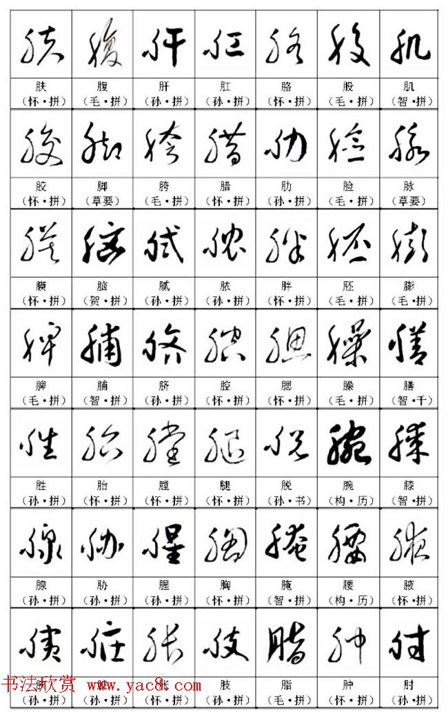 书法教材《名帖名家草书字帖范字》