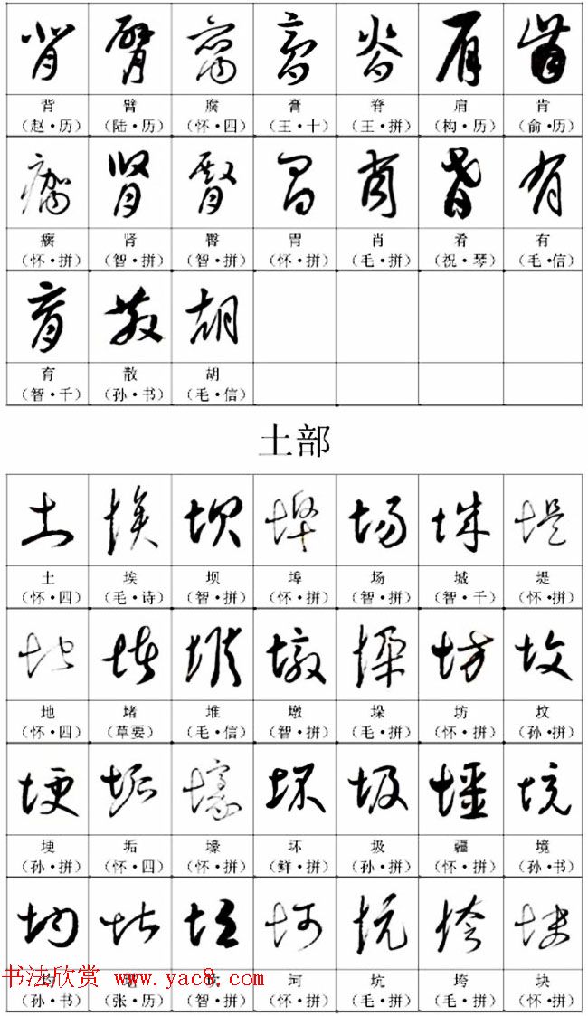 书法教材《名帖名家草书字帖范字》