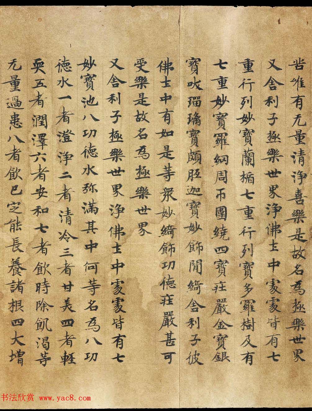 敦煌遗书《称赞净土佛摄受经》