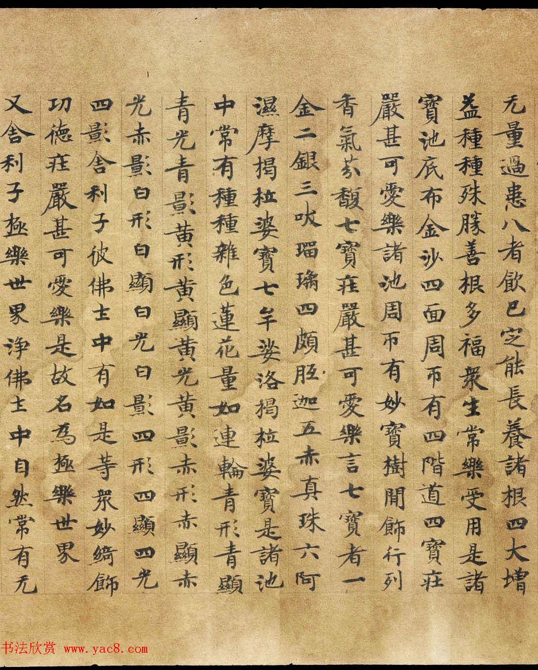 敦煌遗书《称赞净土佛摄受经》