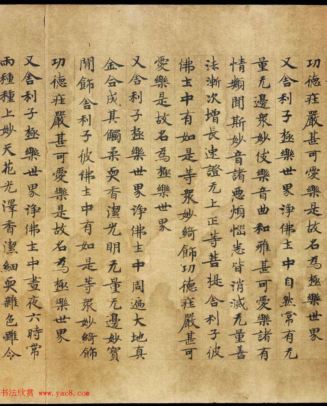 敦煌遗书《称赞净土佛摄受经》