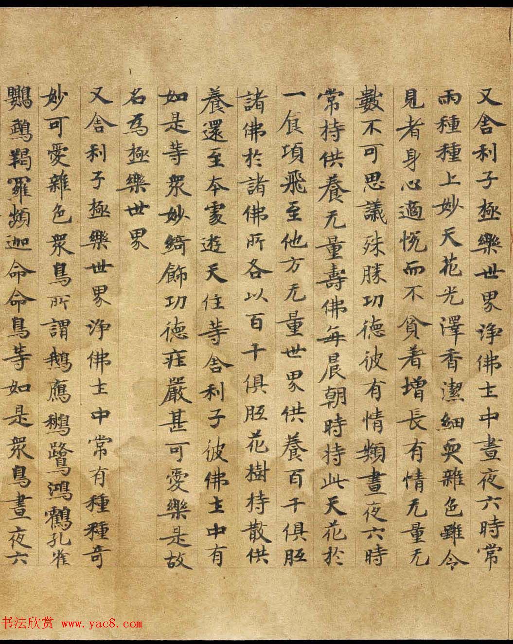 敦煌遗书《称赞净土佛摄受经》