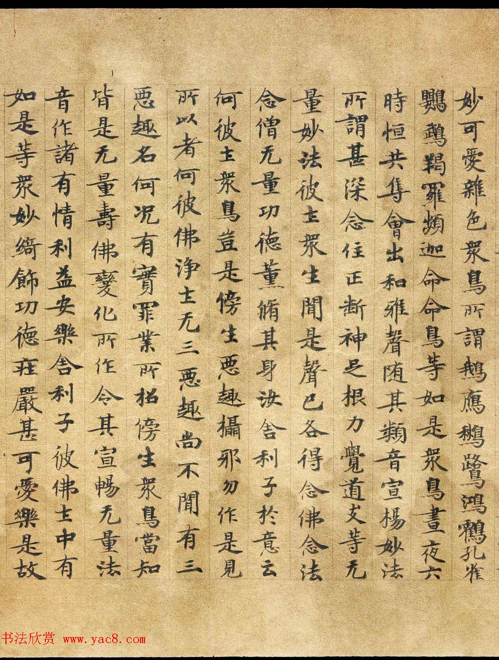 敦煌遗书《称赞净土佛摄受经》