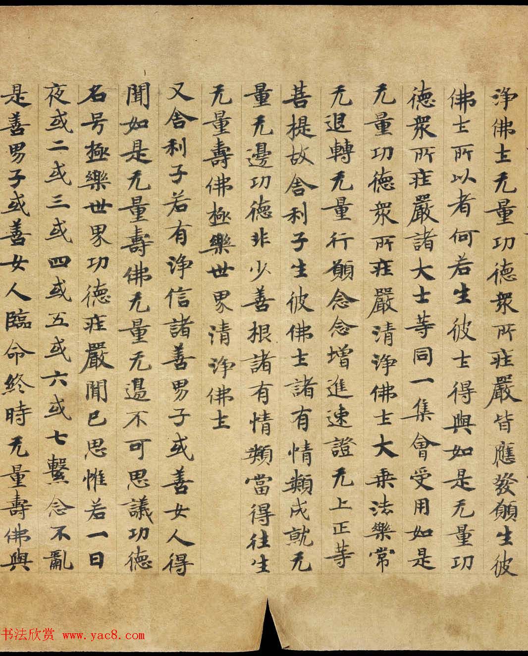 敦煌遗书《称赞净土佛摄受经》