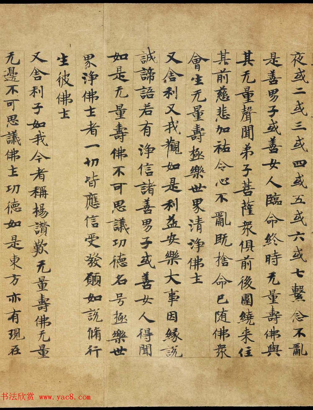 敦煌遗书《称赞净土佛摄受经》