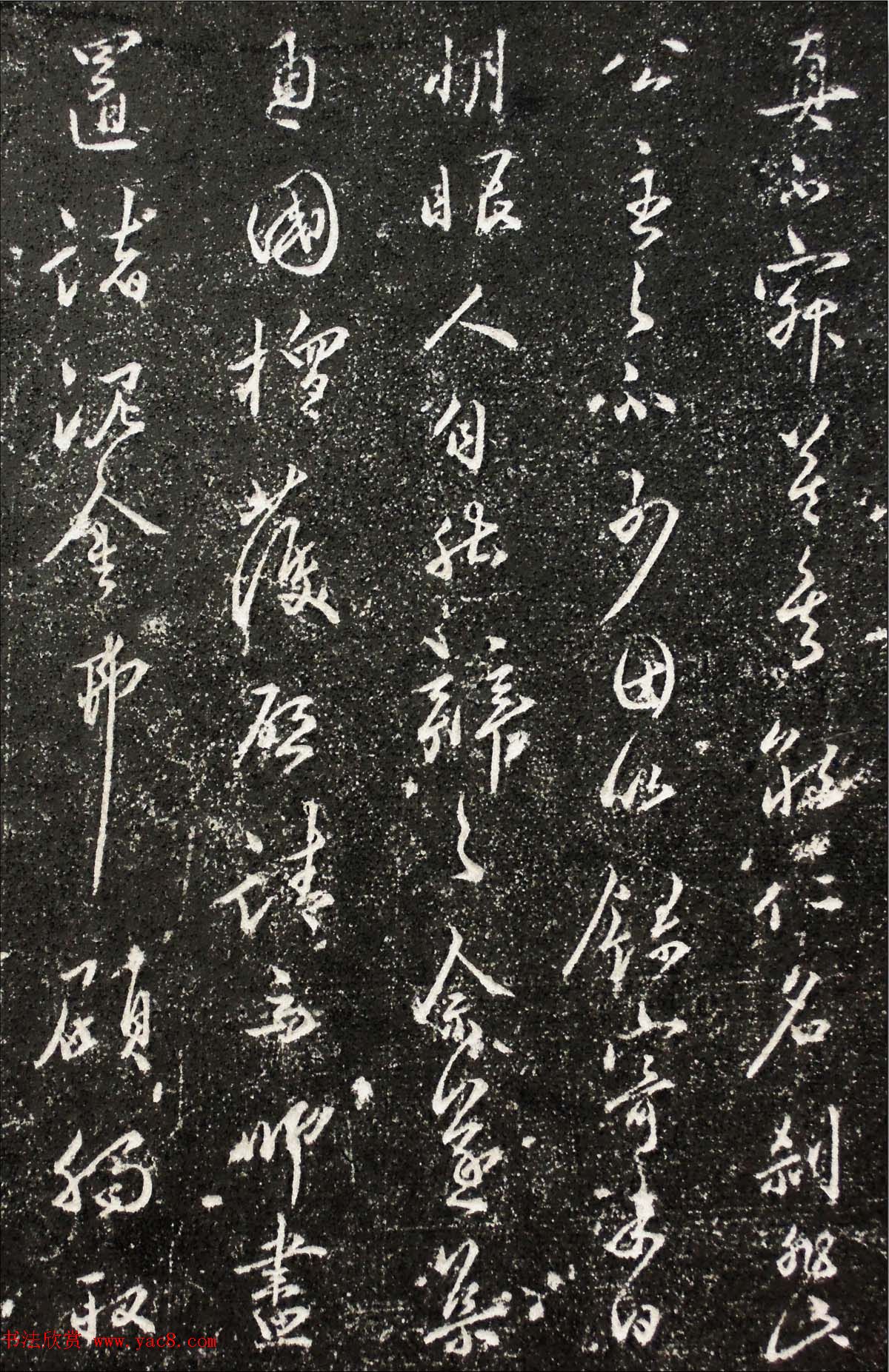 唐代书法拓片欣赏《小雁塔碑》