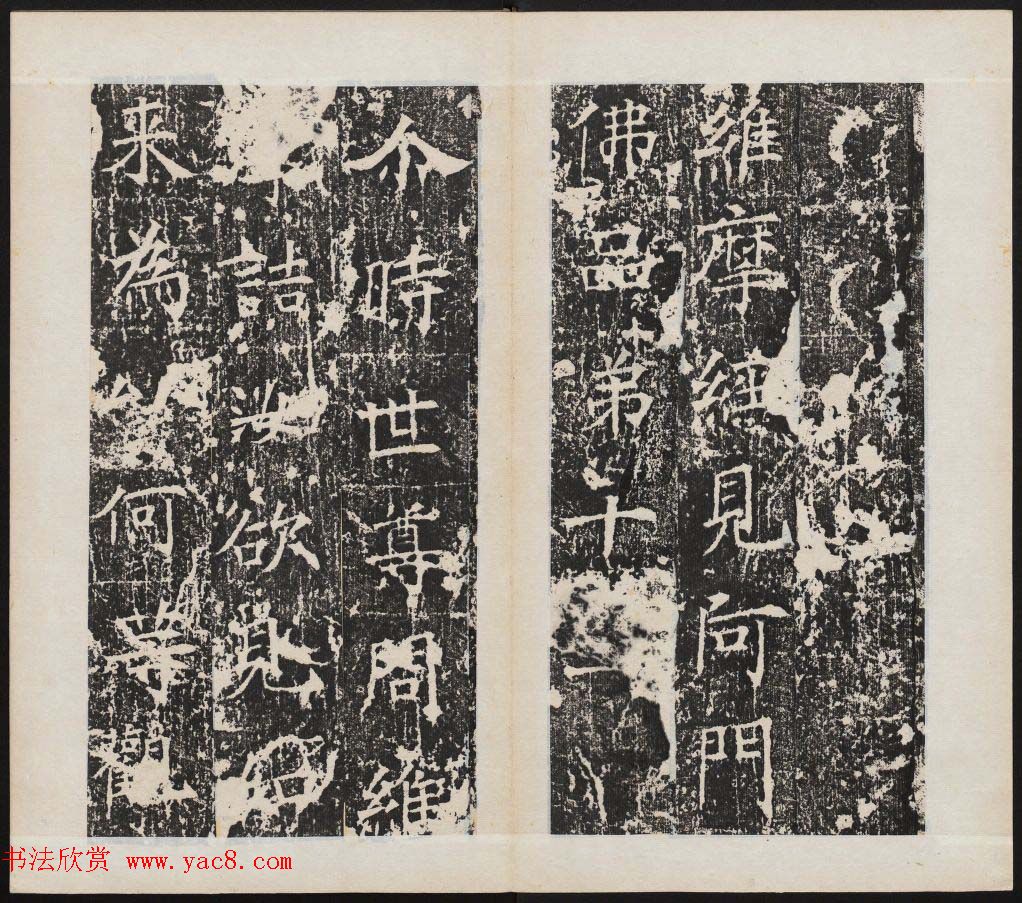 北齐正书石刻隽敬碑《隽修罗之碑》