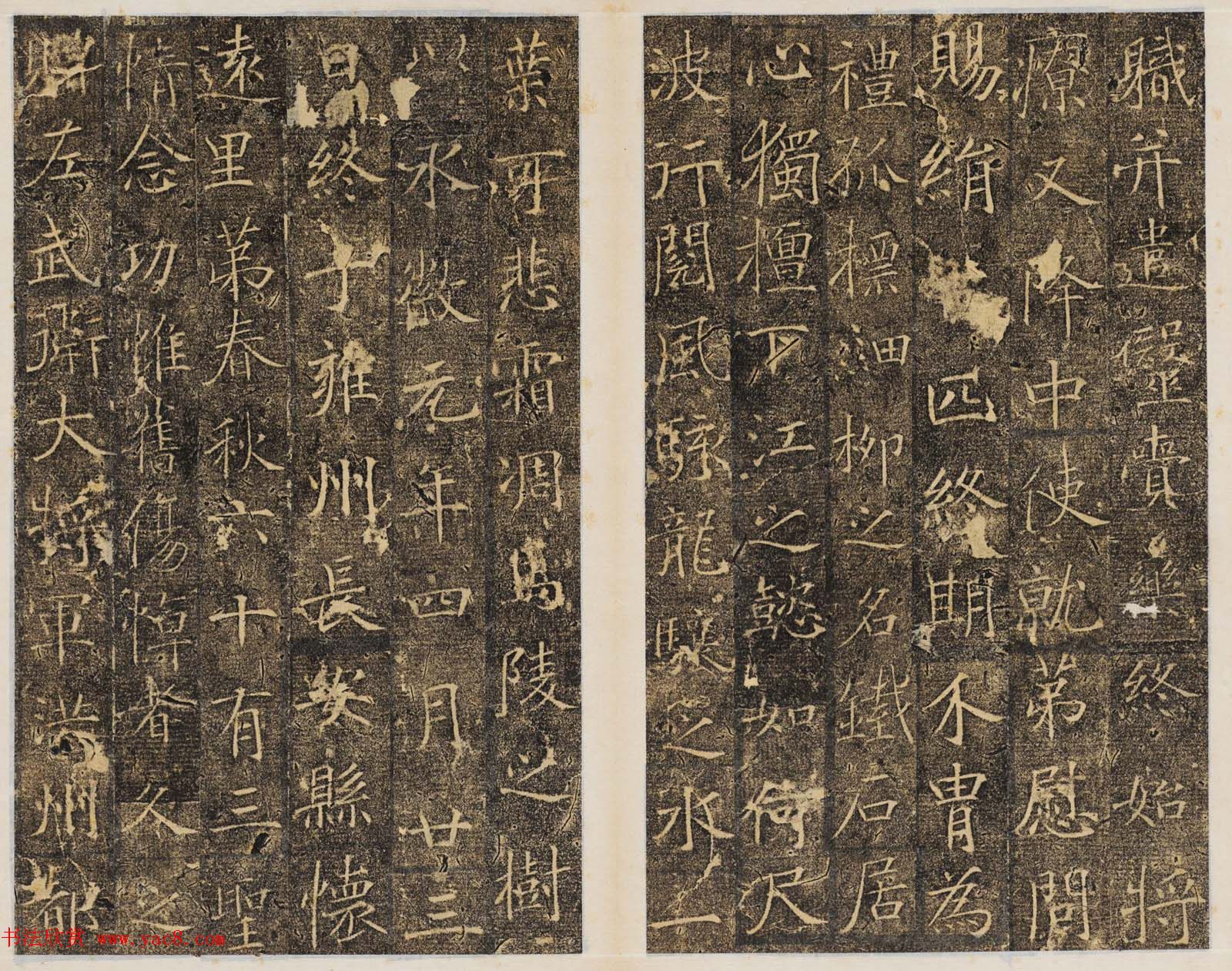 精品唐楷书法《大唐故襄城郡开国公樊兴碑》