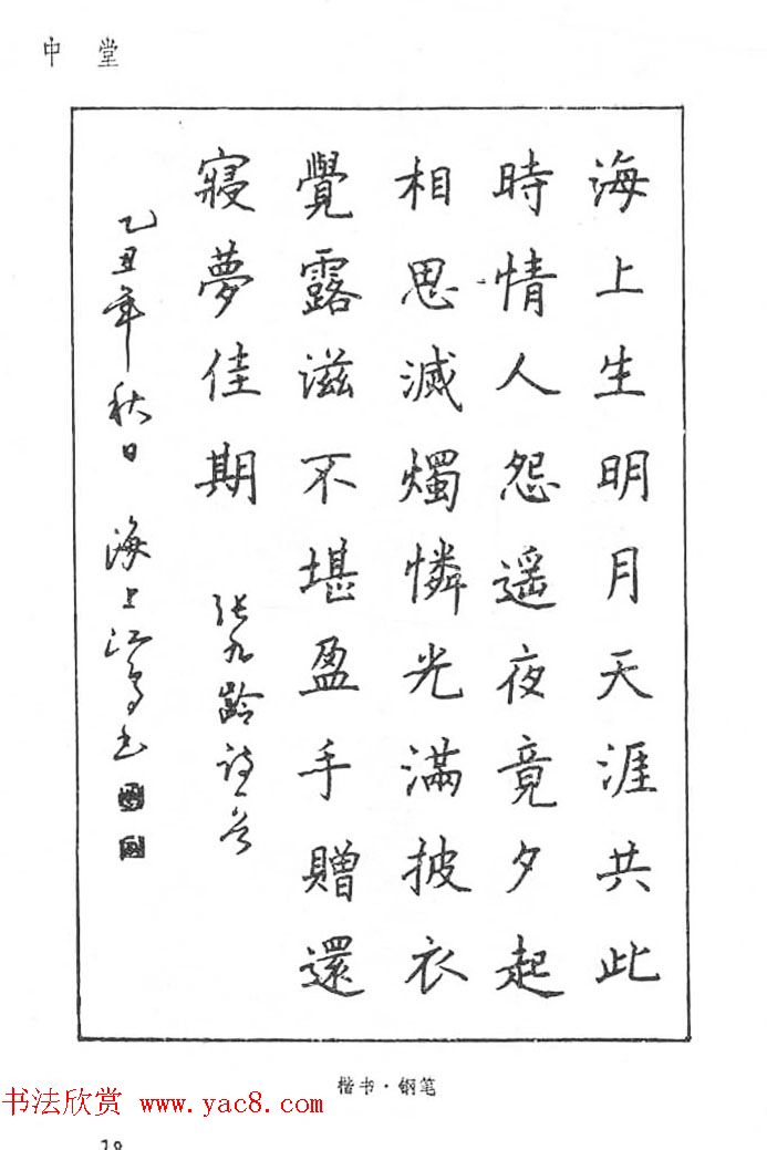 沈鸿根硬笔书法字帖《江鸟钢笔书法》